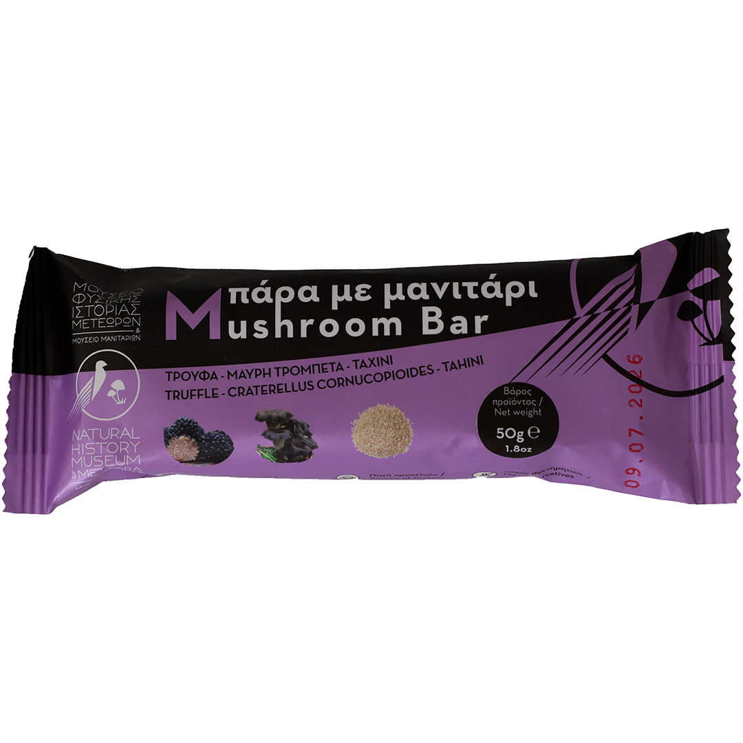 Natural History Museum Of Meteora And Mushroom Museum Greece